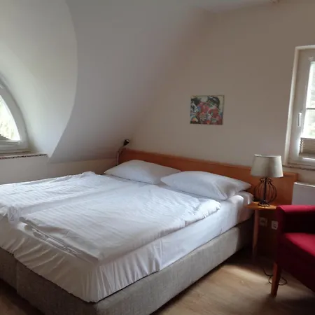 Fuerst Jaromar 4* ثيسو